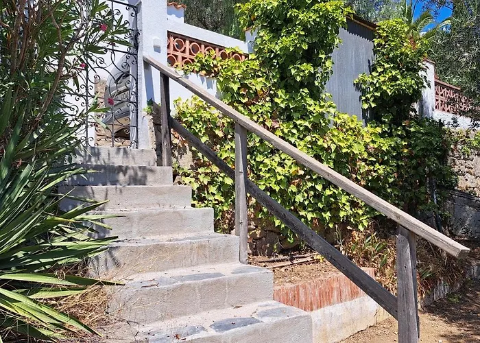 Cal Ferrer Del Rei Ρόζες